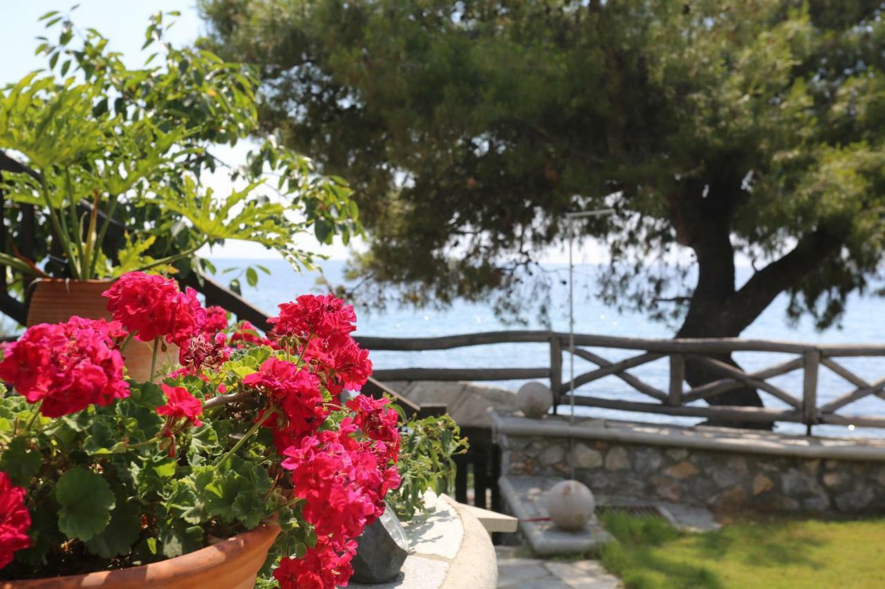 Appartamento Seaside Agia Paraskevi  Esterno foto